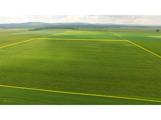 TRACT 85 - ILLINOIS LAND AUCTION - 4,810+/- ACRES OFFERED IN 85 TRACTS IN FRANKLIN, WILLIAMSON, HAMILTON & SALINE COUNTIES, ILLINOIS